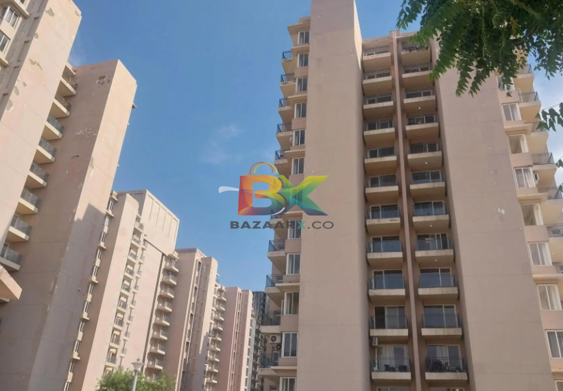 BZX Property