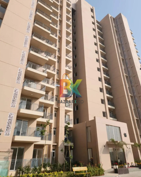 BZX Property