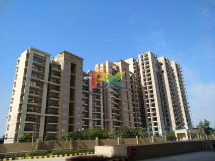 BZX Property