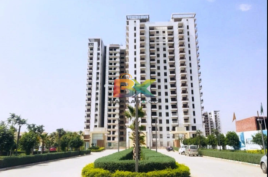BZX Property