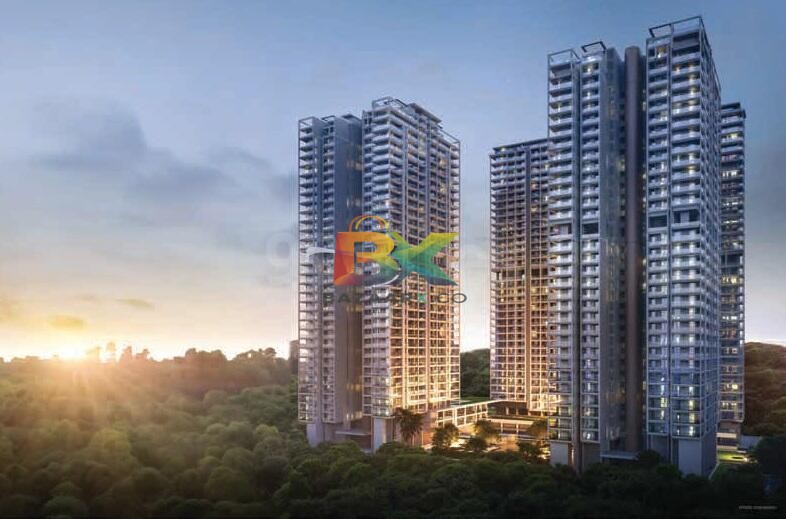 BZX Property