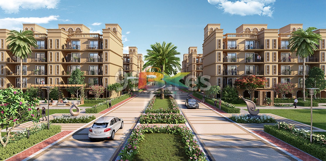 BZX Property