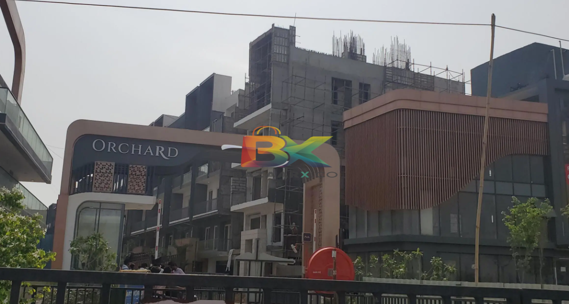 BZX Property