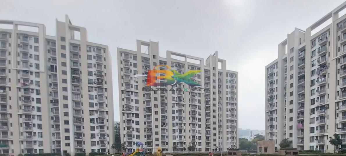 BZX Property