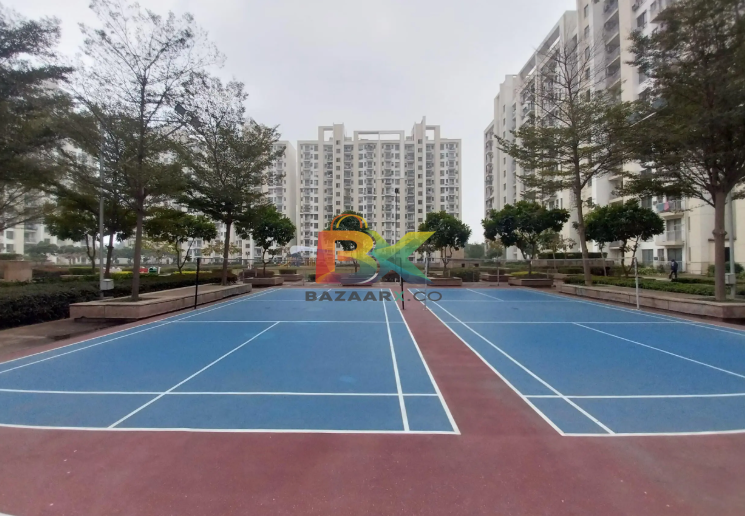 BZX Property