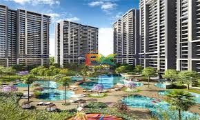 BZX Property